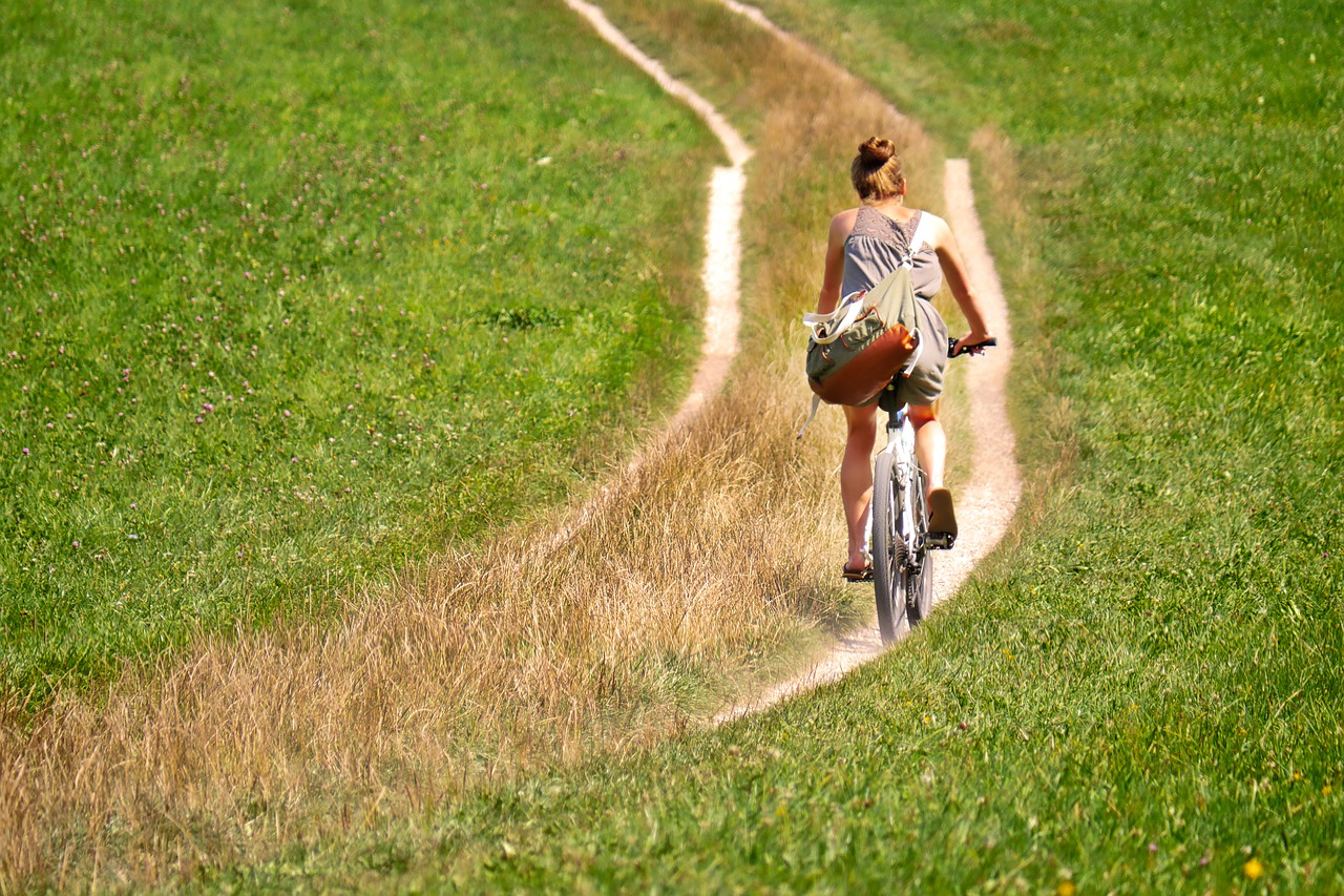 bike2 elektrische fiets