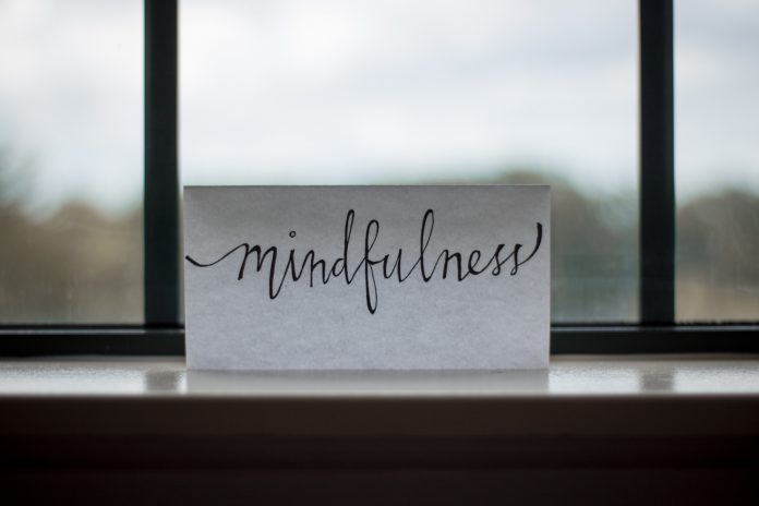 lesly-juarez-DFtjXYd5Pto-unsplash Yoga zaandam